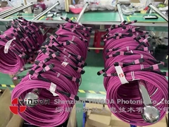12 fibres MPO connecteur féminin patch cord OM4 50/125um Perte d'élite 0,35dB Polarité violette A