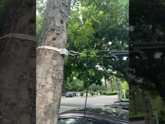 Pince d'ancrage de câble d'extrémité morte de suspension de fibre optique FTTH pour câble ADSS 8-12mm