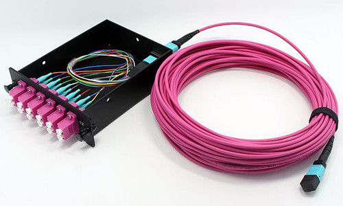 acheter Cable MPO MTP à fibre optique 8 Fibre OM4 LSZH Jacket pour les connexions réseau au centre de données fabrication en ligne