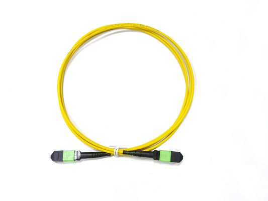 acheter Fibre MTP optique MPO RPA de la polarité B 12 femelle au câble équipé masculin de camion de corde de correction fabrication en ligne